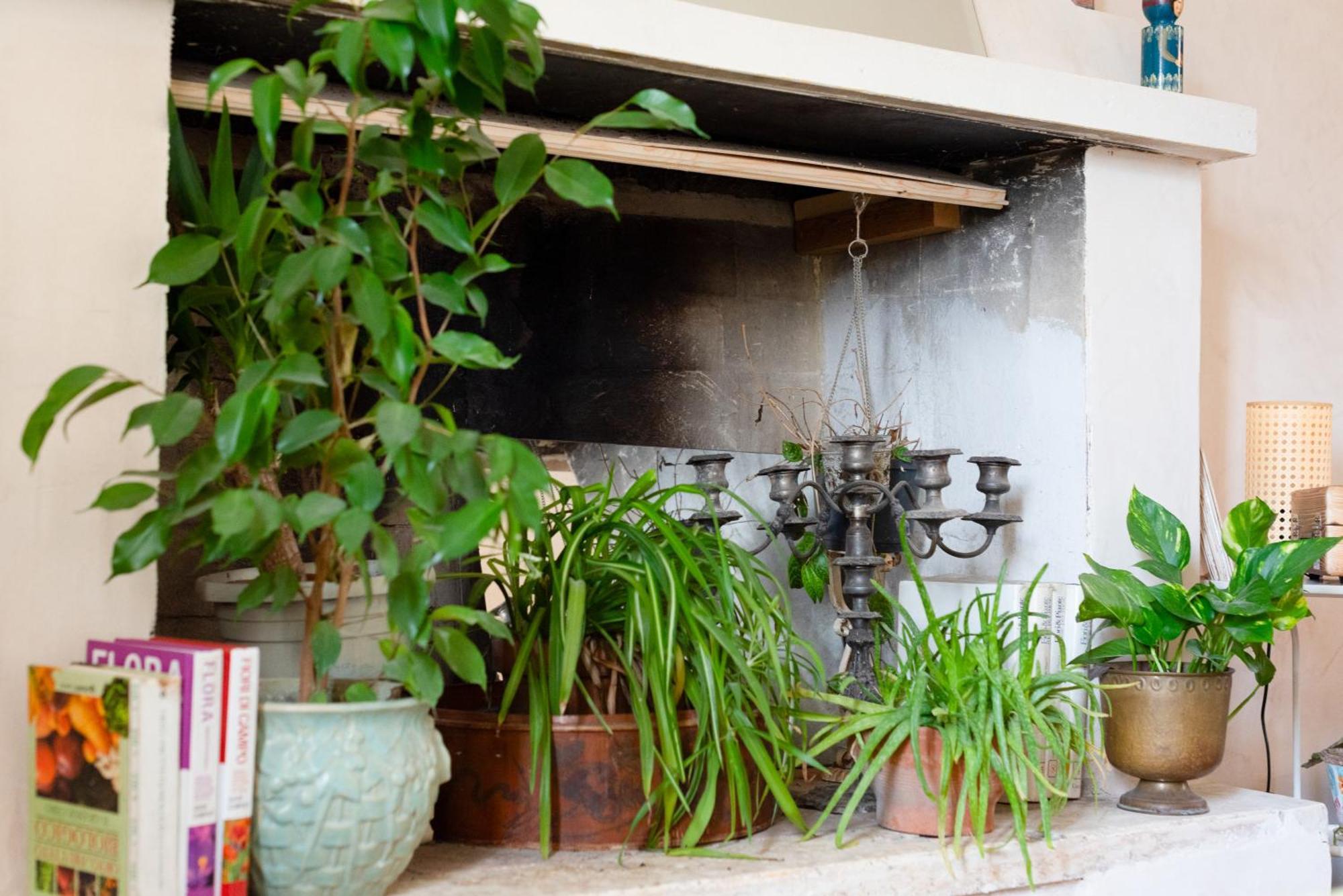 Botanica Διαμέρισμα Calcata Εξωτερικό φωτογραφία